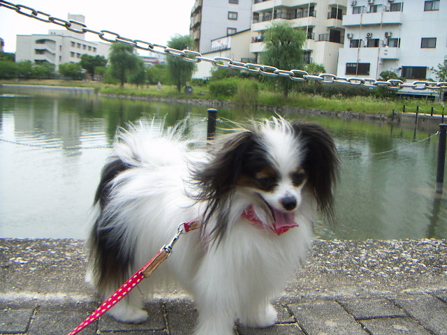 PICT0054.jpg
