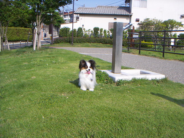 PICT0060.jpg