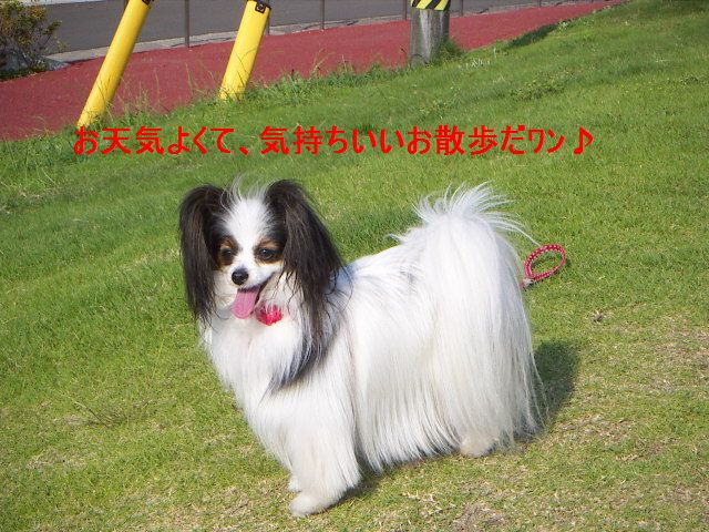 PICT0062.jpg