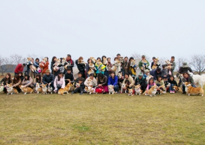 2011.jpg