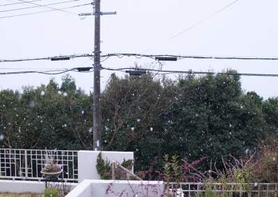 CCR_0756.jpg