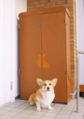 CCR_0623.jpg
