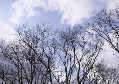 CCR_0699_201401161729209bb.jpg