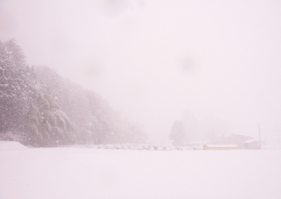 CCR_0955.jpg