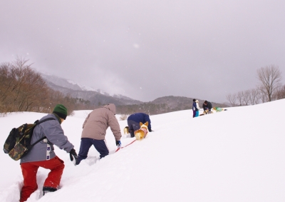 CCR_1220.jpg