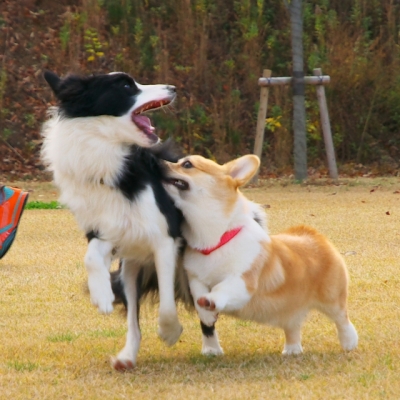 KUN_2359.jpg