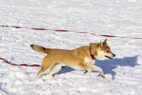 IMG_1152_AZUKI.jpg