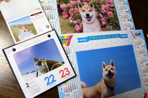 IMG_1242_AZUKI.jpg