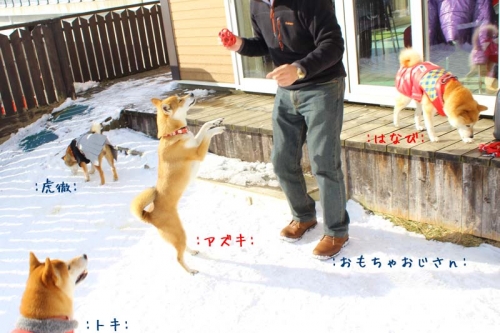 IMG_1278_AZUKI.jpg