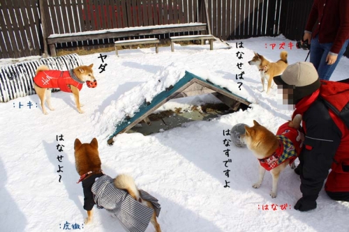 IMG_1309_AZUKI.jpg