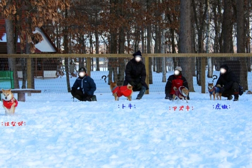 IMG_1485_AZUKI.jpg