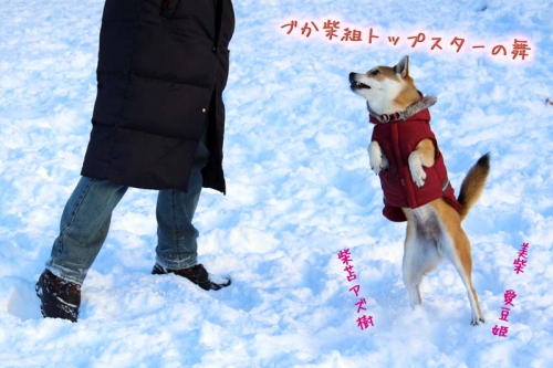 IMG_1504_AZUKI.jpg