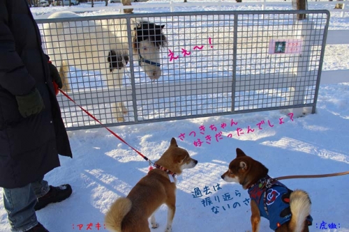 IMG_1561_AZUKI.jpg