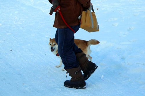 IMG_1564_AZUKI.jpg