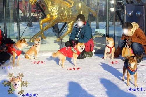 IMG_1592_AZUKI.jpg