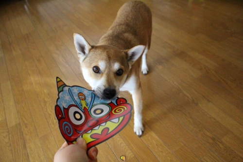 IMG_1972_AZUKI.jpg