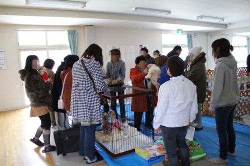 IMG_2137_AZUKI.jpg