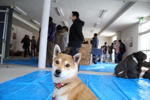 IMG_2150_AZUKI.jpg