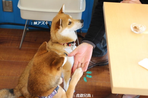 IMG_2265_AZUKI.jpg