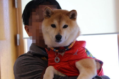 IMG_2291_AZUKI.jpg