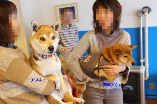 IMG_2292_AZUKI.jpg