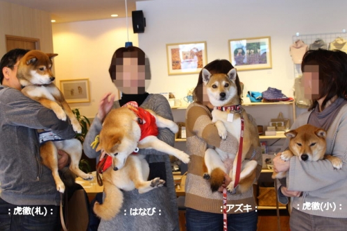 IMG_2303_AZUKI.jpg
