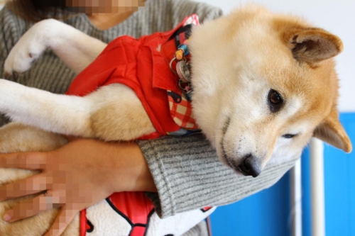 IMG_2313_AZUKI.jpg