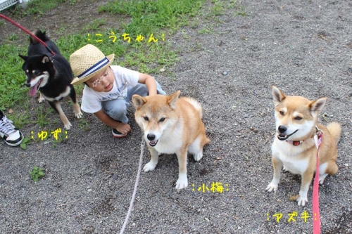 IMG_7080+AZUKI_2013123121500513d.jpg