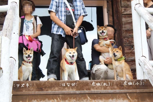 IMG_7353+AZUKI_201312312150076cc.jpg