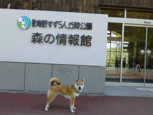 P1000533+AZUKI.jpg