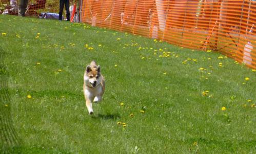 P1000545+AZUKI.jpg