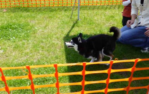P1000556+AZUKI.jpg