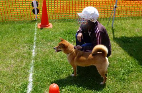 P1000567+AZUKI.jpg