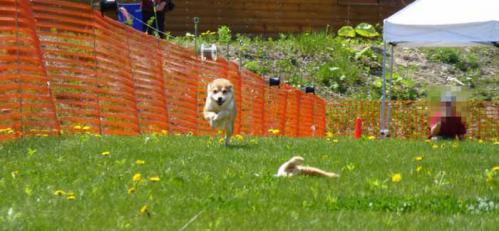 P1000583+AZUKI.jpg