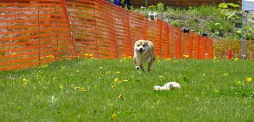P1000585+AZUKI.jpg