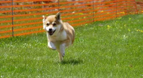 P1000593+AZUKI.jpg