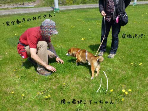 P1000750+AZUKI.jpg