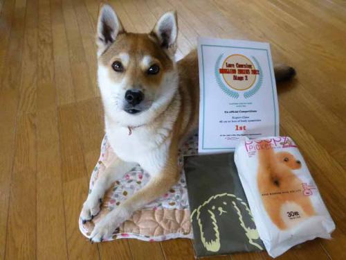 P1000933+AZUKI.jpg