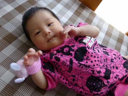 P1000965+AZUKI.jpg