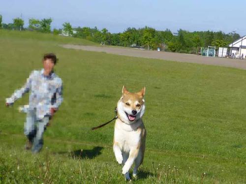 P1010255+AZUKI.jpg