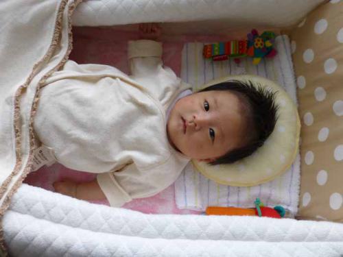 P1010634+AZUKI.jpg
