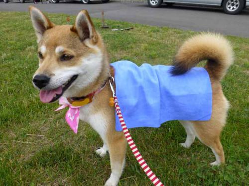 P1020315+AZUKI.jpg