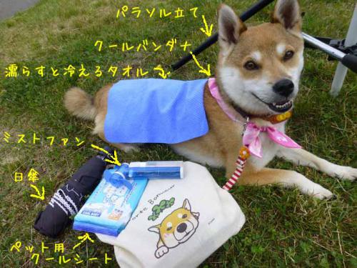 P1020332+AZUKI.jpg