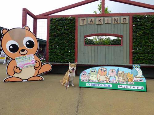 P1020440+AZUKI.jpg