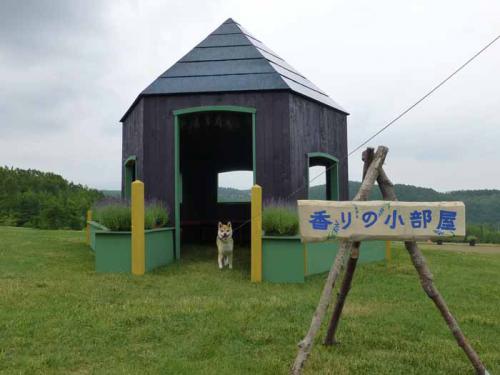P1020449+AZUKI.jpg