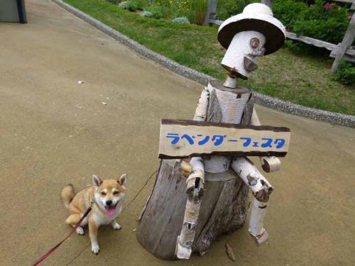 P1020517+AZUKI.jpg