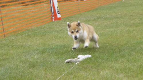 P1020836+AZUKI.jpg