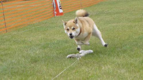 P1020840+AZUKI.jpg