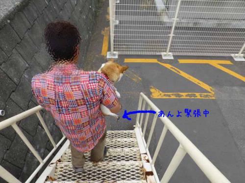 P1030313+AZUKI.jpg