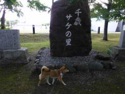 P1030498+AZUKI.jpg